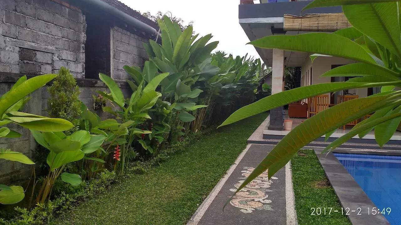 Homestay Obama House Ubud