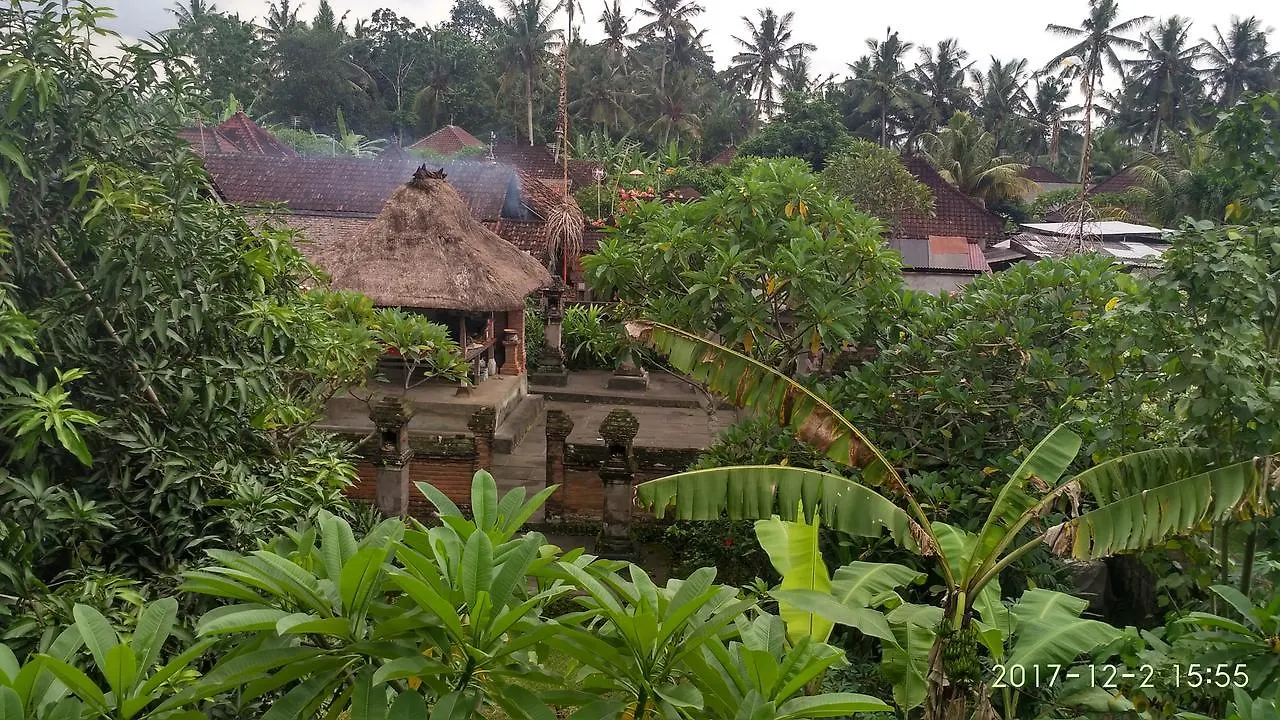 Obama House Ubud 0*, Ubud (Bali)